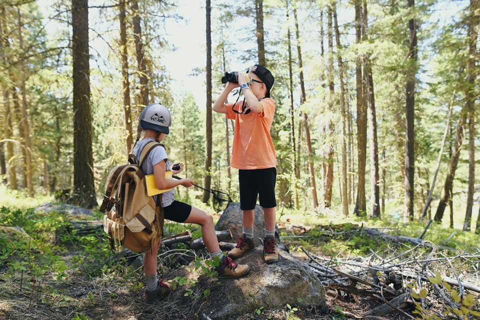 Two children outdoors in a sunlit forest, one wearing a gray helmet and backpack while the other in an orange shirt looks through binoculars. Trees, sunlight, and forest floor are visible.